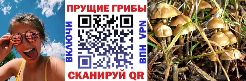 Псилоцибиновые грибы ЛСД  Арск 